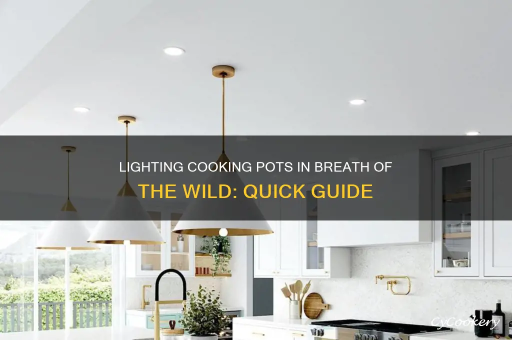 how to light cooking pot breath of the wild