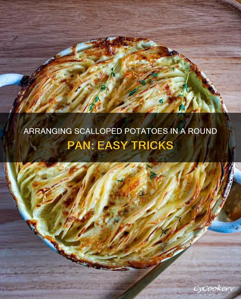 how to line up scalloped potatoes ina round pan