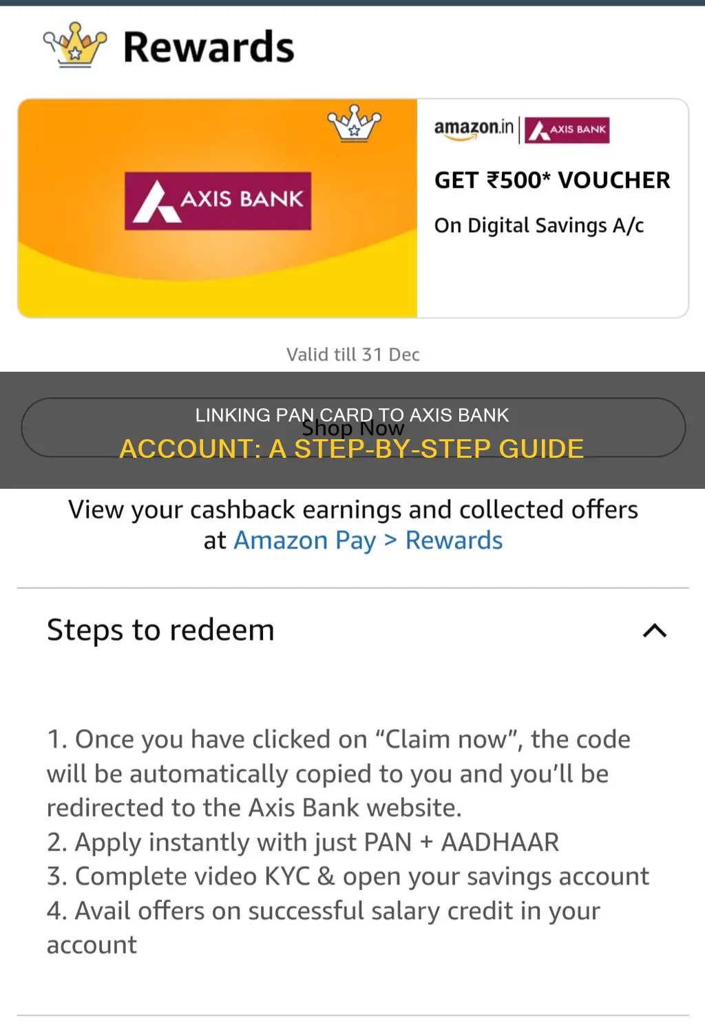 how to link pan no with axis bank account