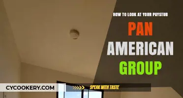 Understanding Your Paystub: A Pan American Group Guide