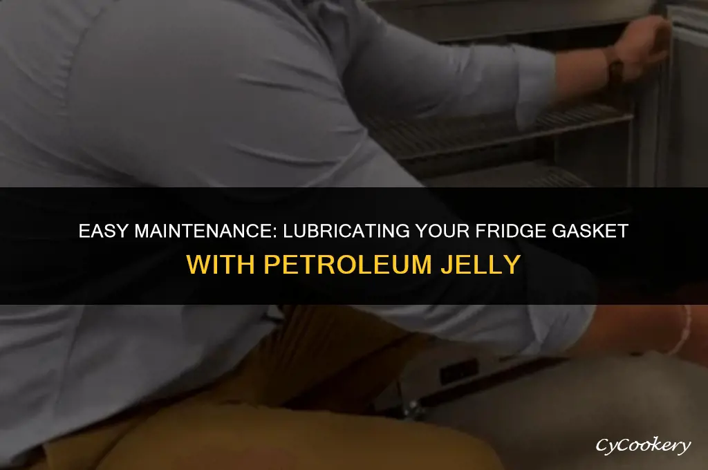 how to lubricate refrigerator door gasket with petroleum jelly