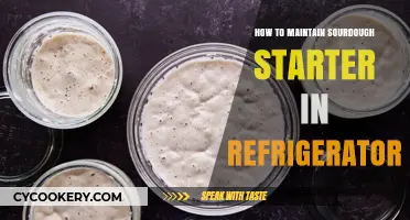 Refrigerator Sourdough Starter Care: Easy Maintenance Tips for Longevity