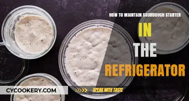 Chill and Thrive: The Ultimate Guide to Refrigerated Sourdough Starter Care