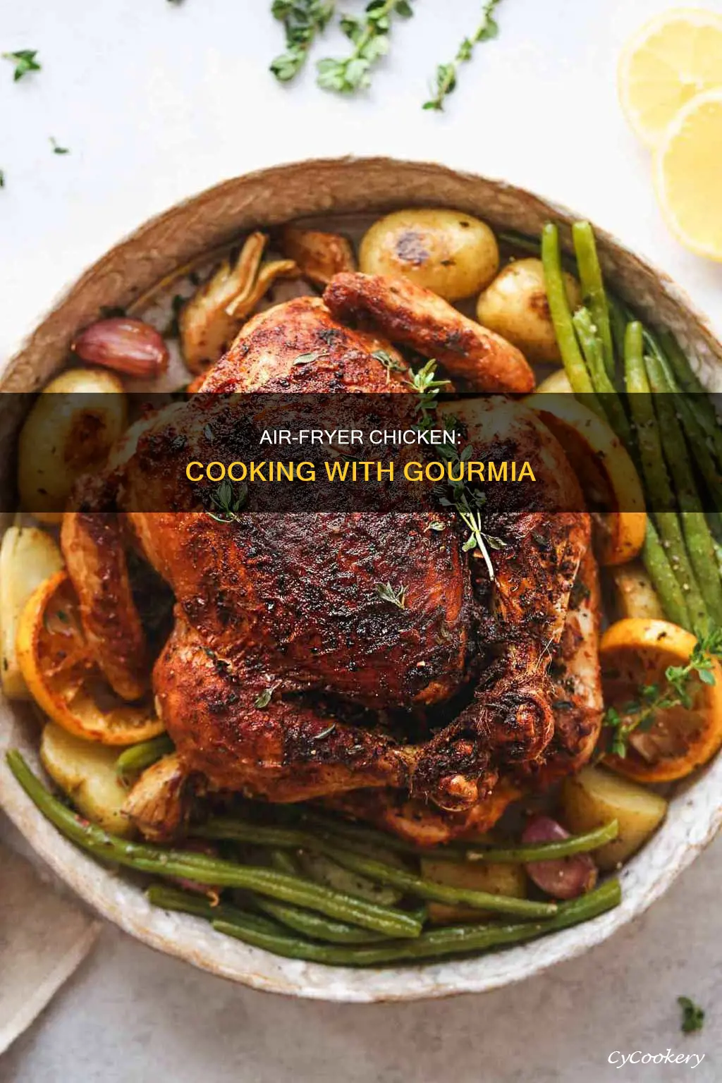 how to make a chicken in a gourmia air fryer