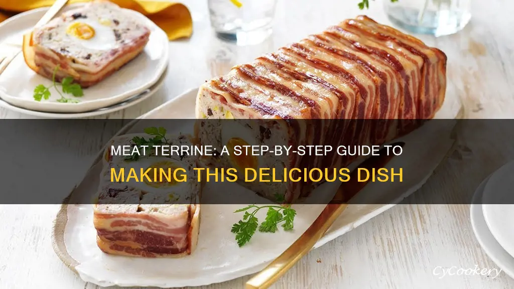 how to make a meat terrine