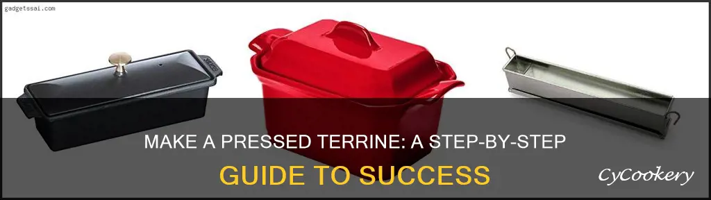 how to make a pressed terrine