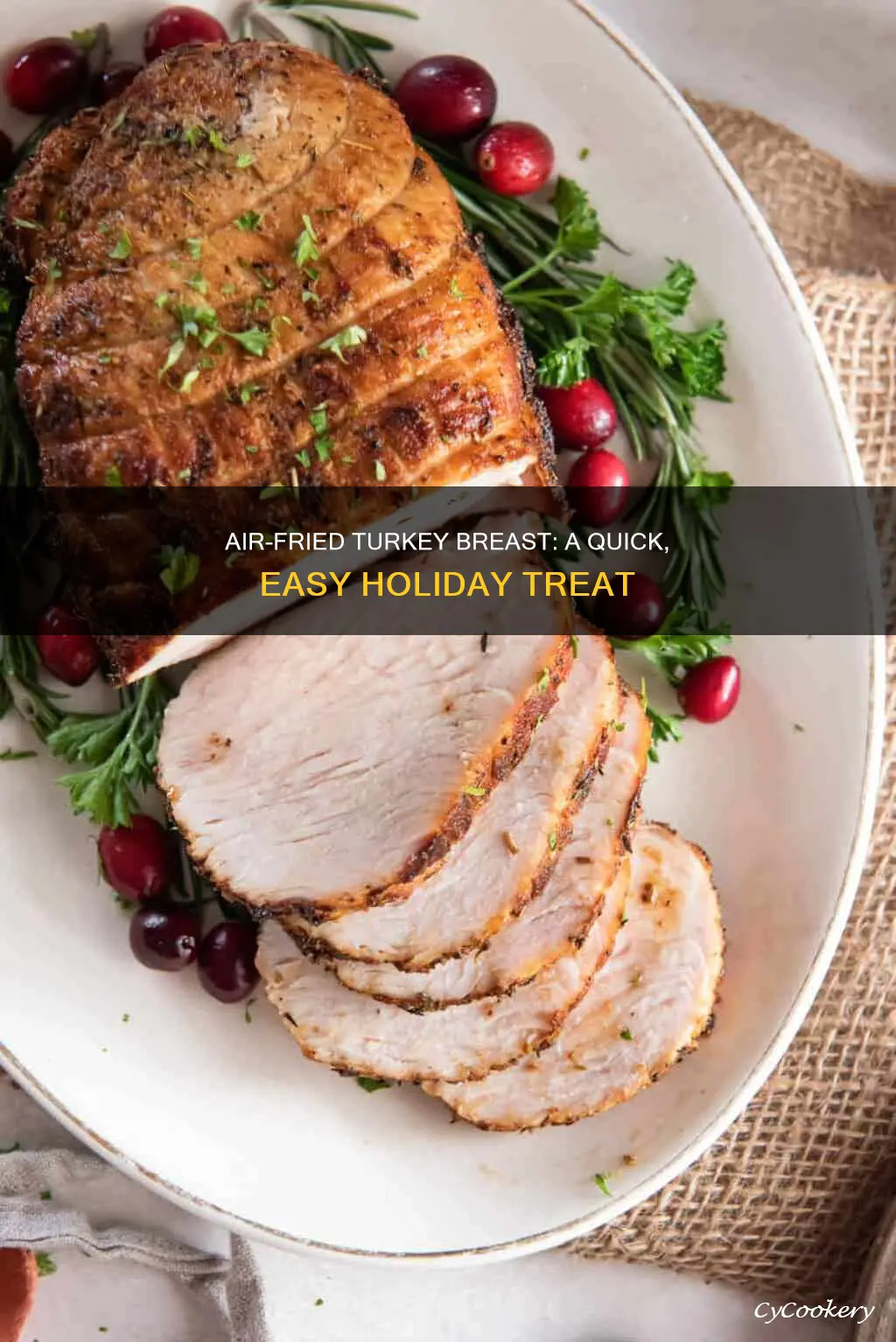 how to make a turkey breast in air fryer