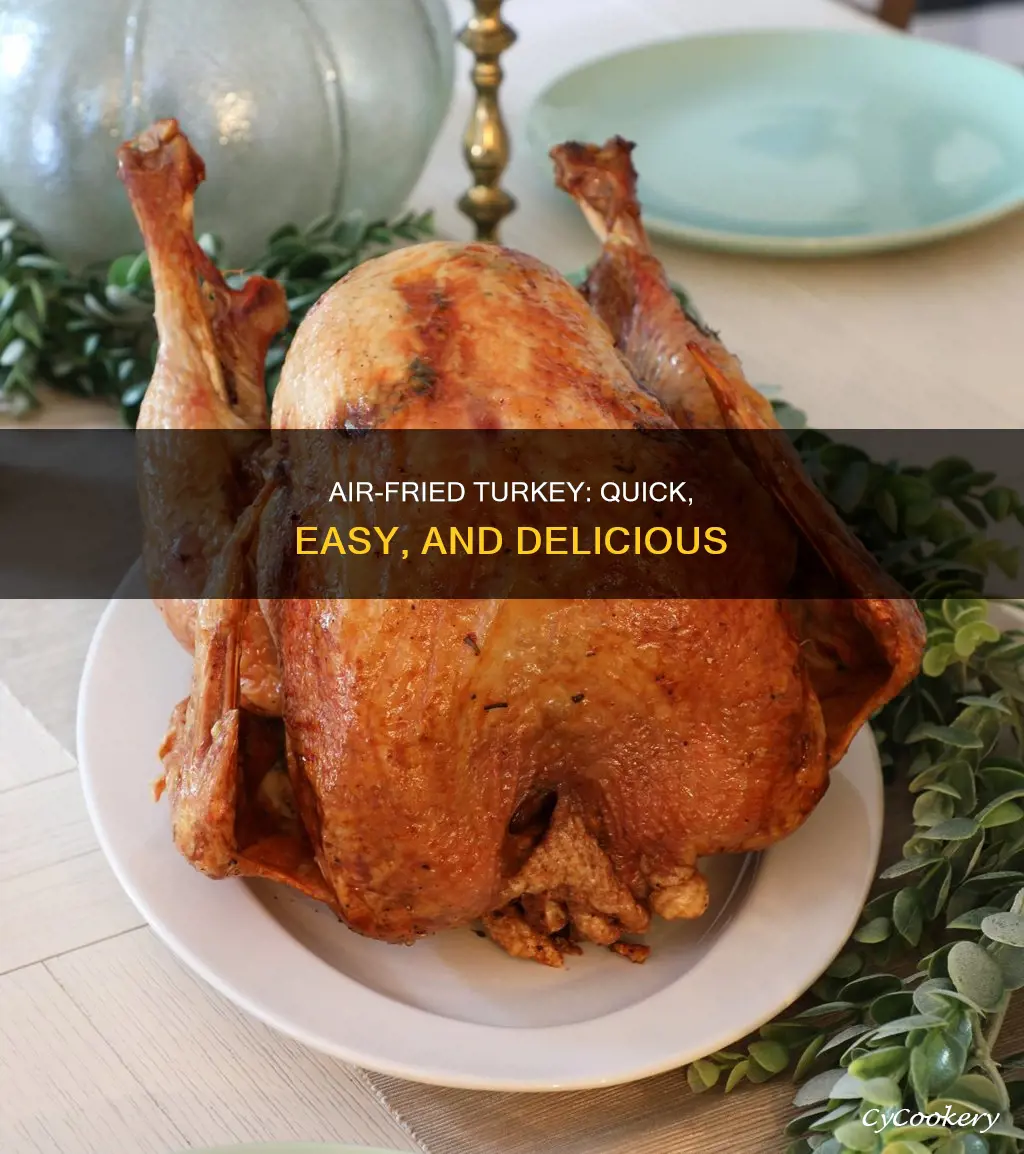 how to make a turkey in an air fryer