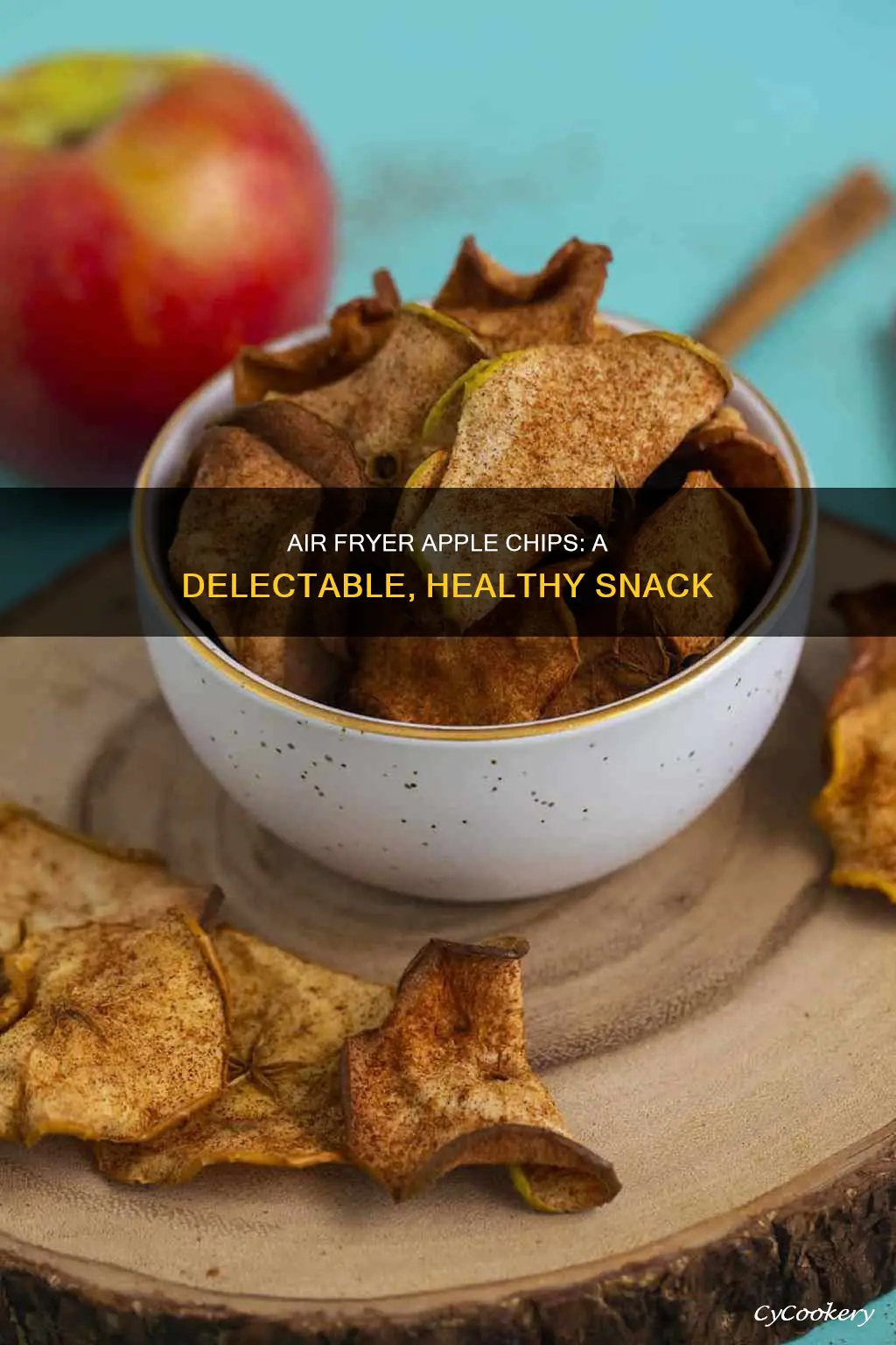 how to make apple chips in air fryer dehydrator