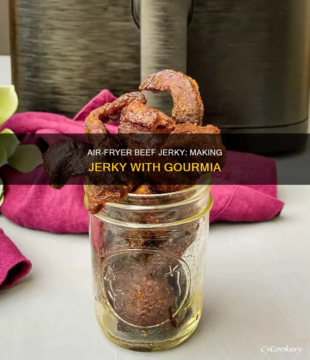 how to make beef jerky in a gourmia air fryer