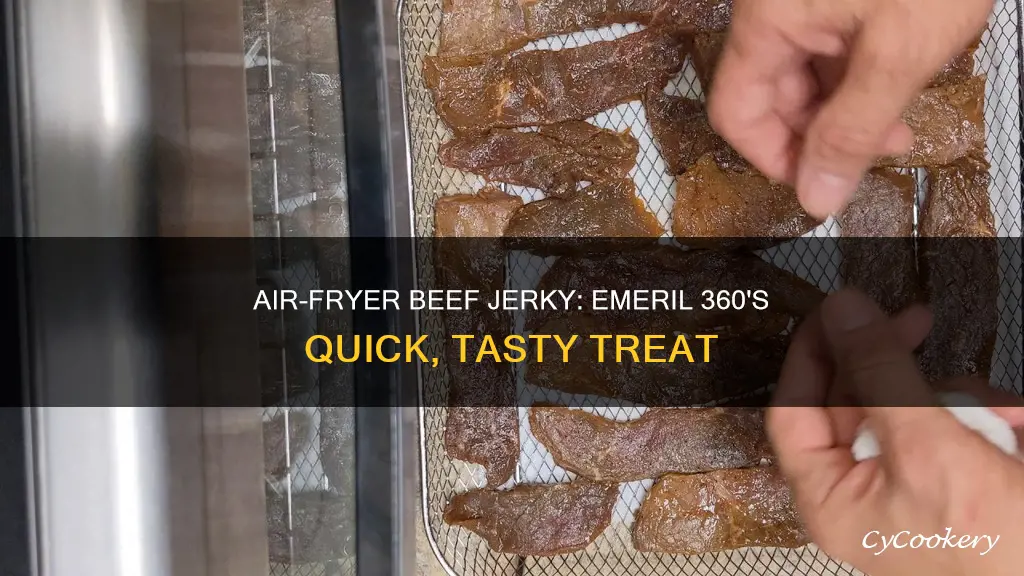 how to make beef jerky in emeril 360 air fryer