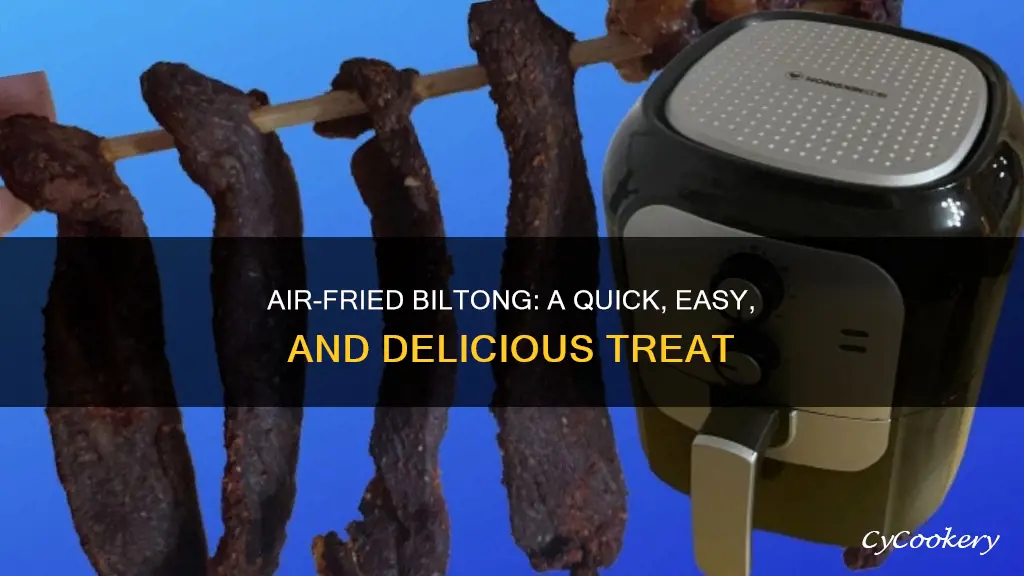 how to make biltong in air fryer