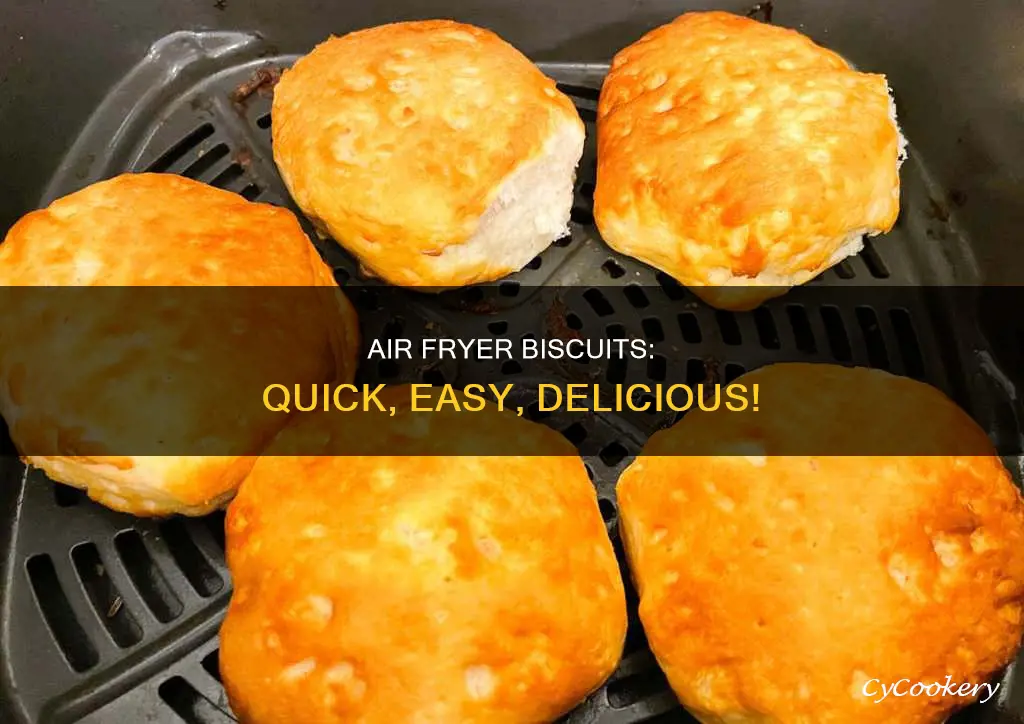 how to make biscuits in power prow air fryer