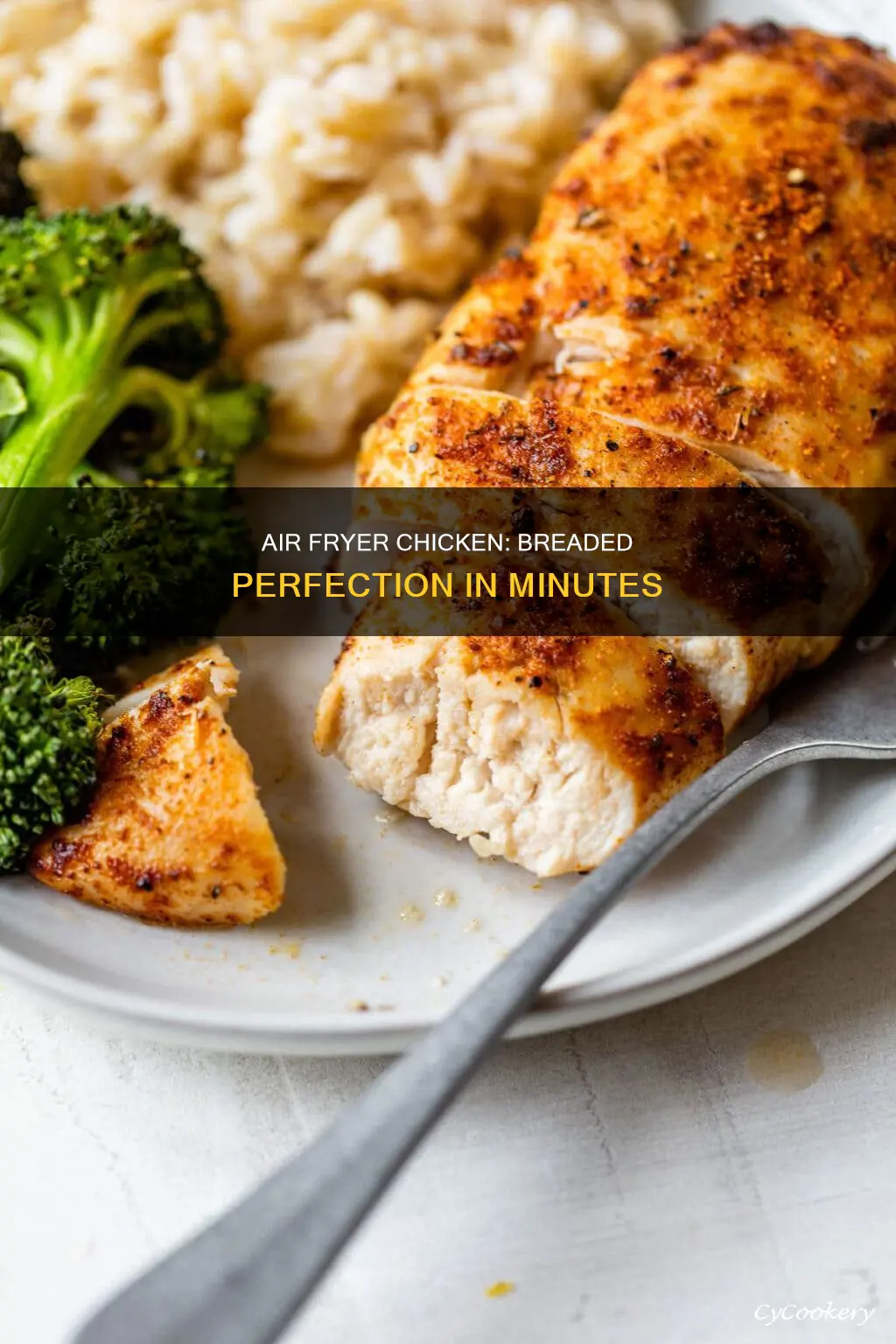 how to make breaded air fryer chicken