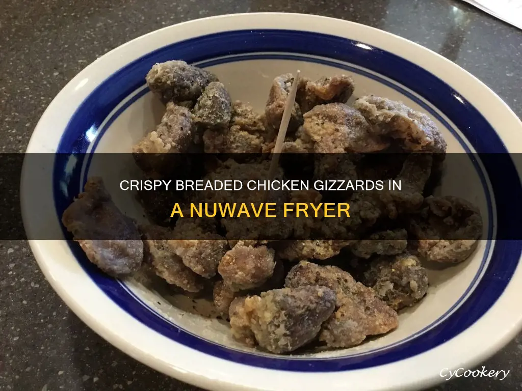 how to make breaded cicken gizzards in nuwave fryer