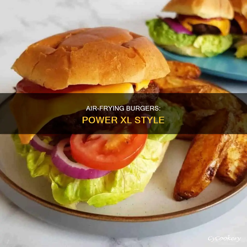 how to make burgers in power xl air fryer