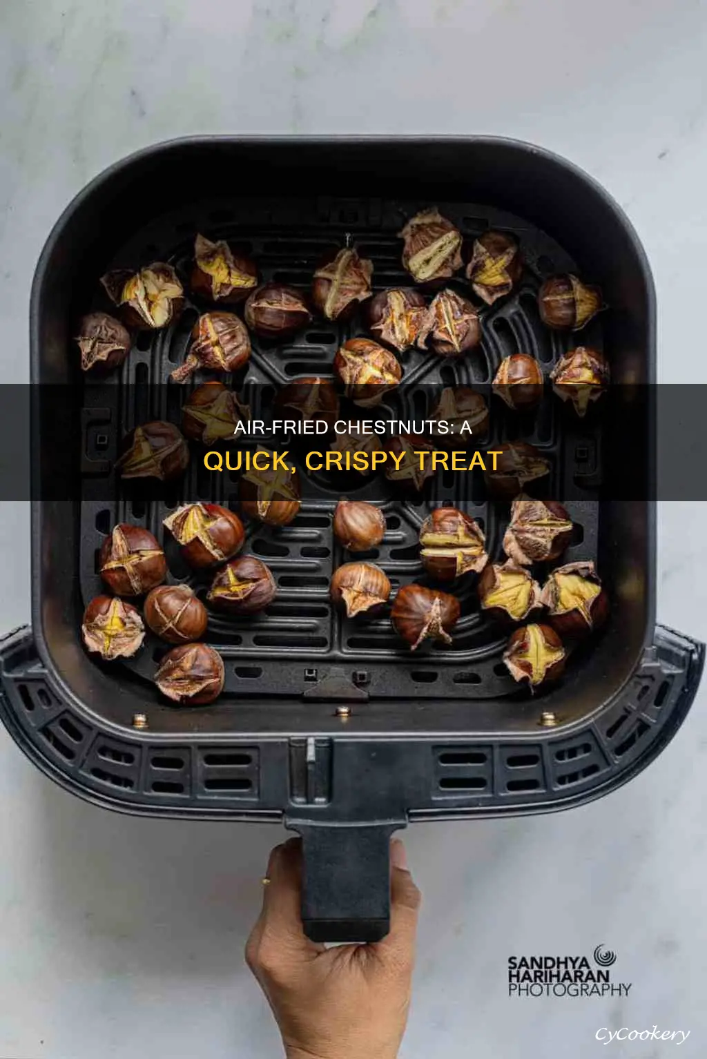 how to make chestnut in air fryer