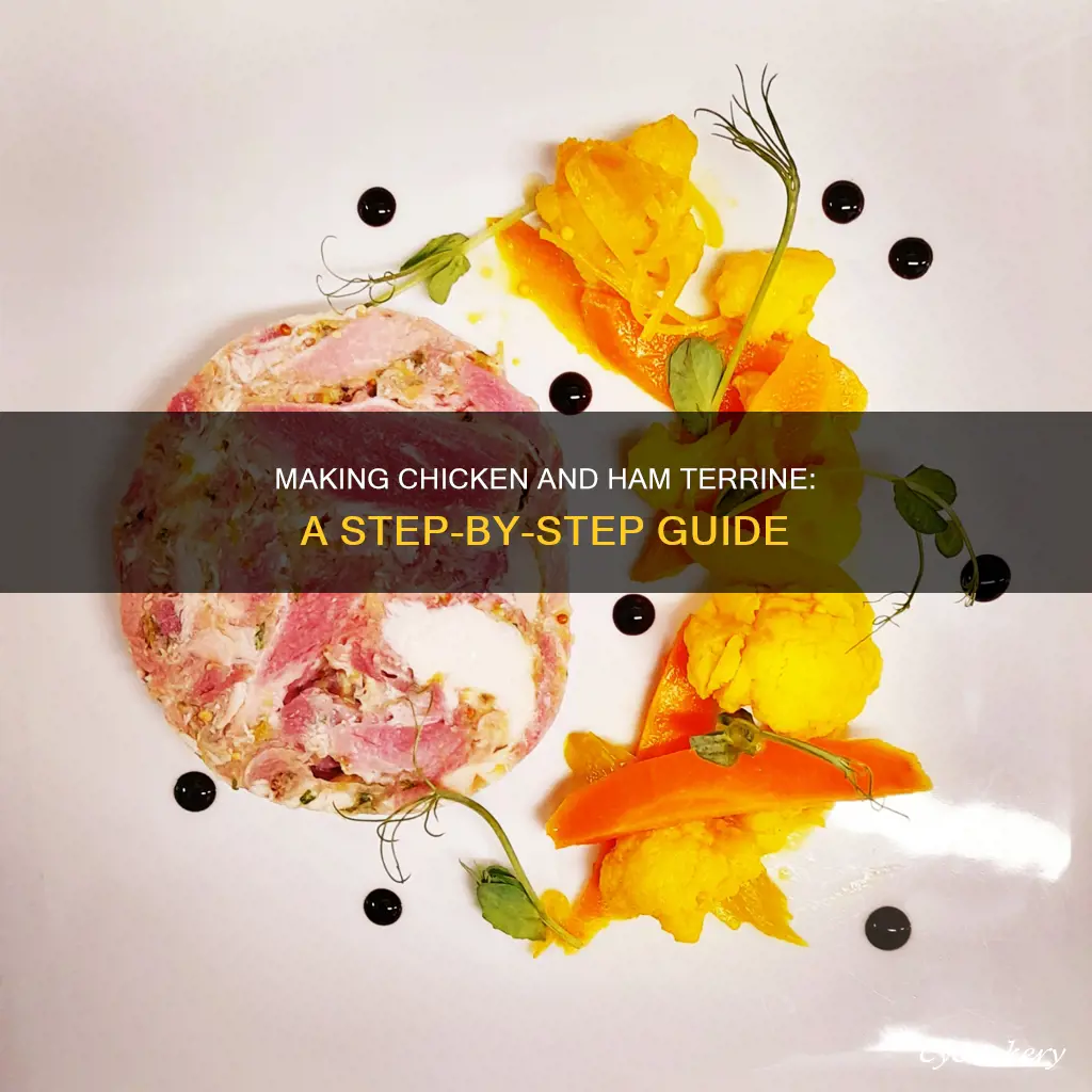 how to make chicken and ham terrine