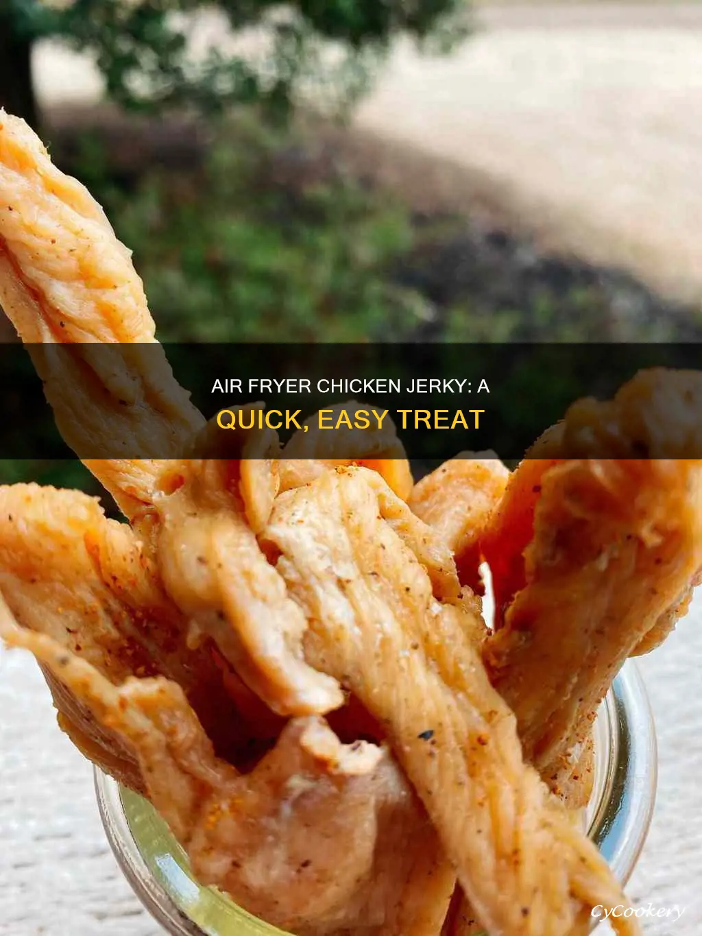 how to make chicken jerky in an air fryer