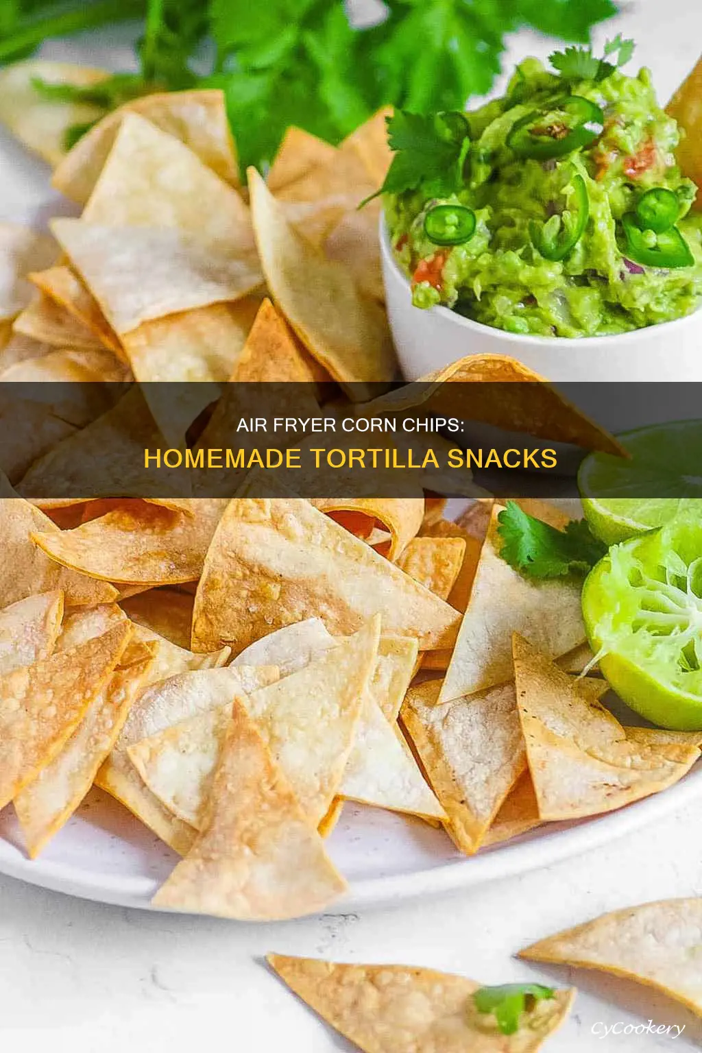 how to make chips from corn tortillas air fryer