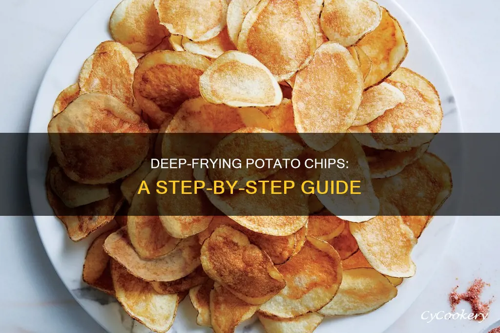 how to make chips from potatoes with a deep fryer