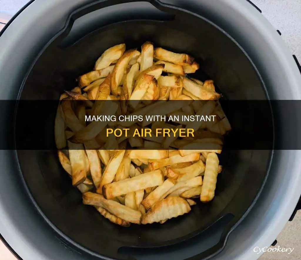 how to make chips in instant pot air fryer