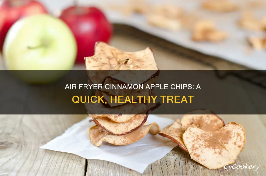 how to make cinnamon apple chips in air fryer