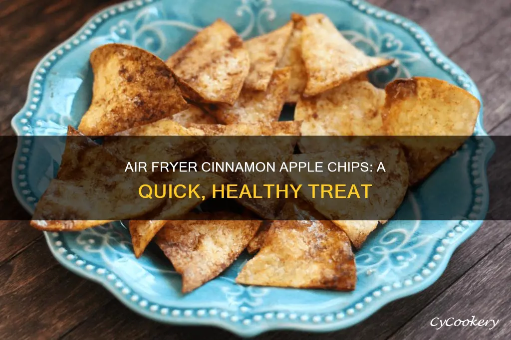 how to make cinnamon apple chips with aur fryer