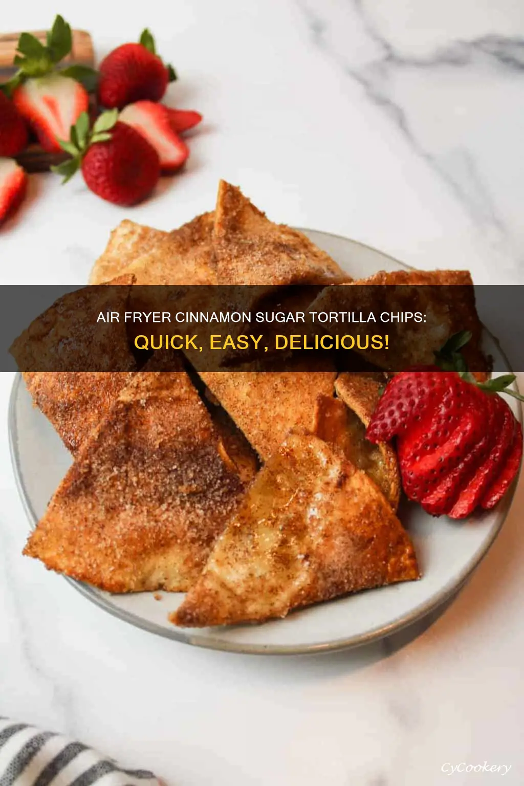 how to make cinnamon sugar tortilla chips in air fryer