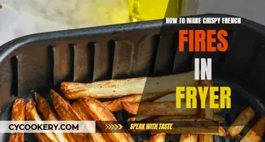 Making Crispy French Fries: Fryer Secrets Revealed