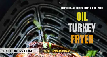 The Perfect Electric Fryer Crispy Turkey