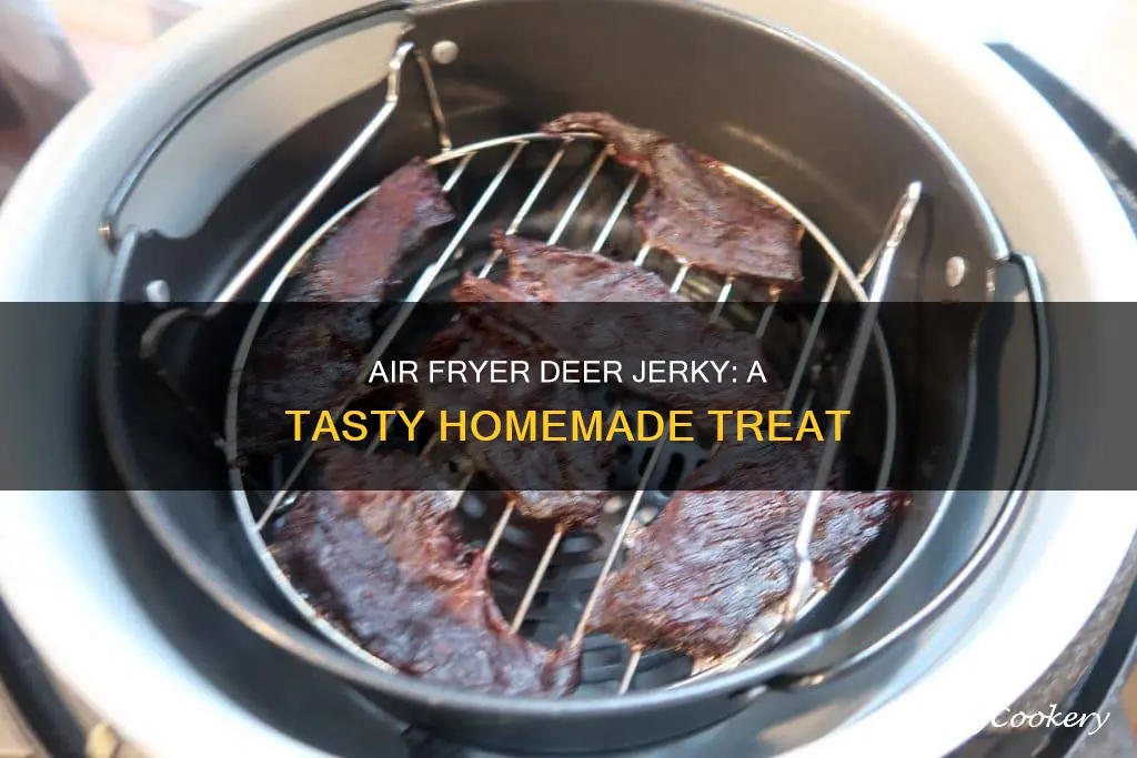 how to make deer jerky in a air fryer