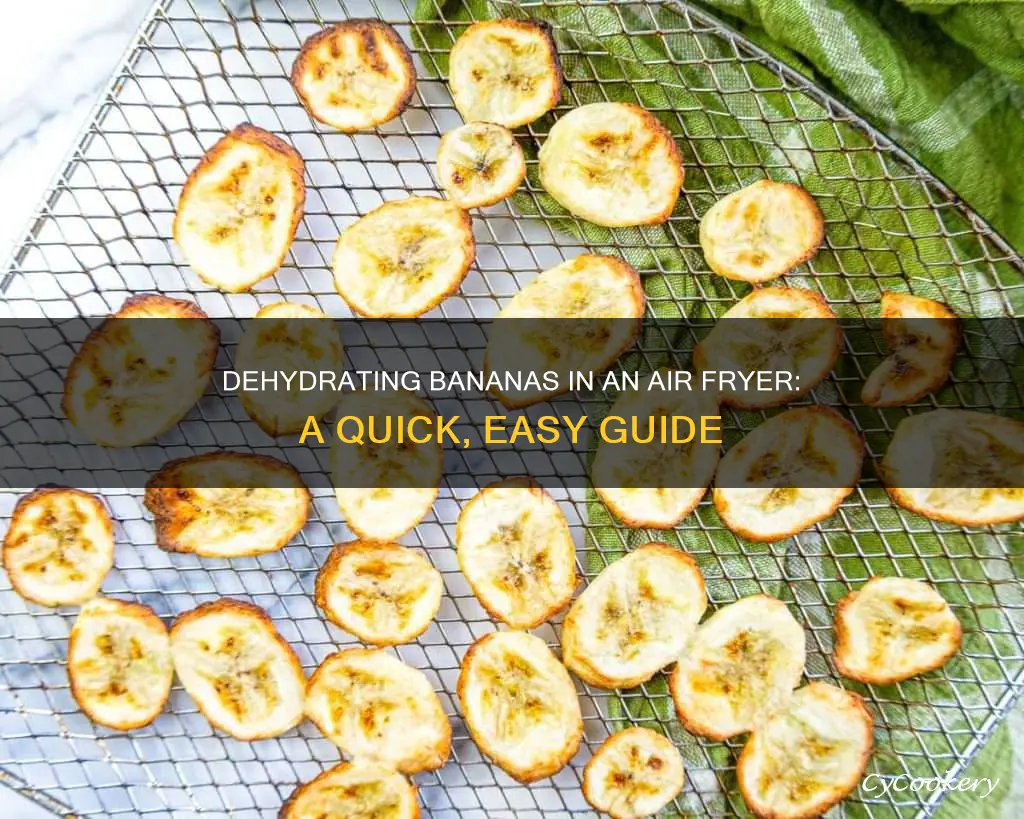 how to make dehydrate bananas in air fryer