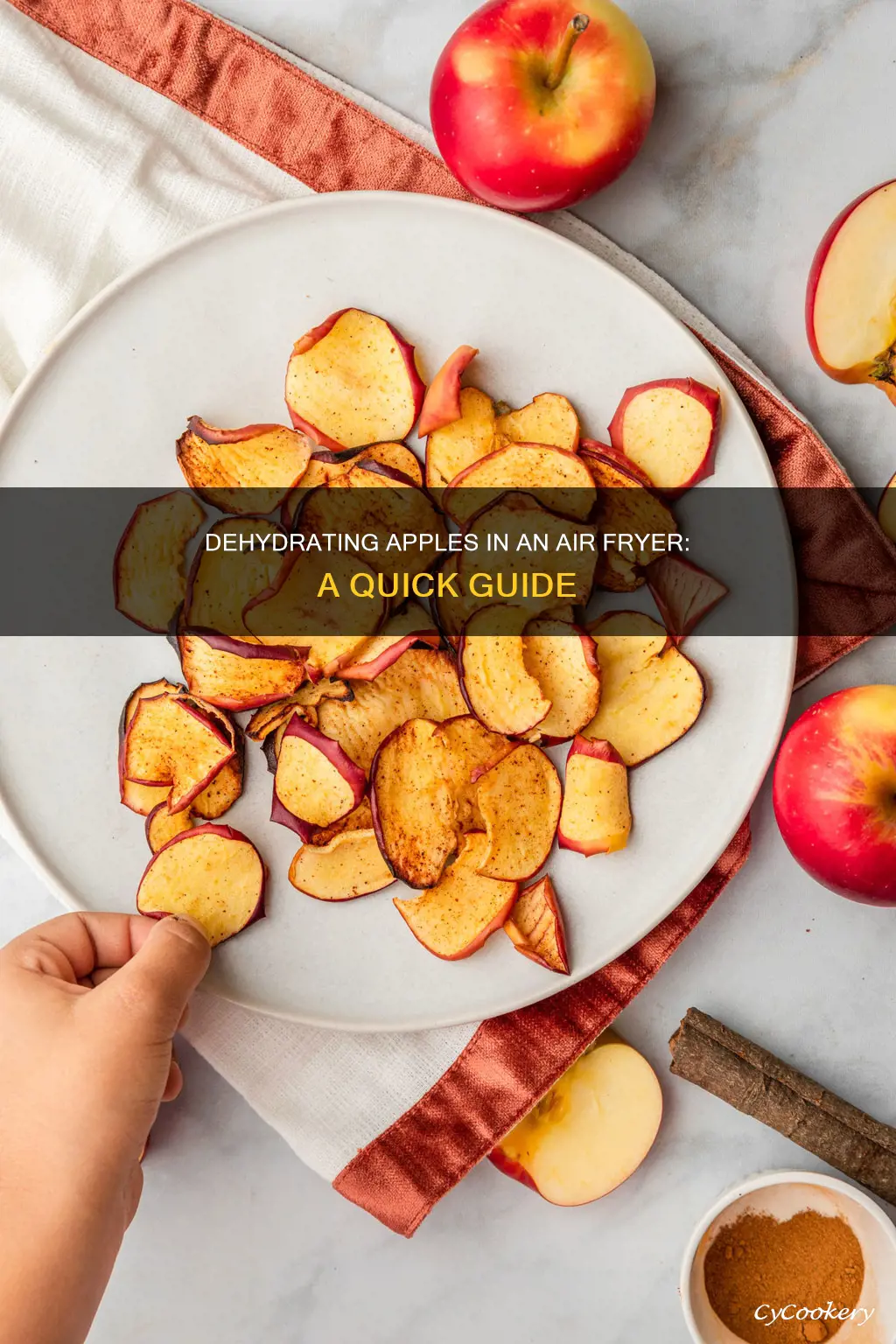 how to make dehydrated apples in air fryer