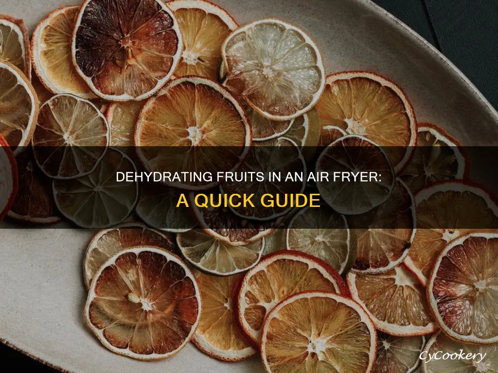 how to make dehydrated fruit in air fryer