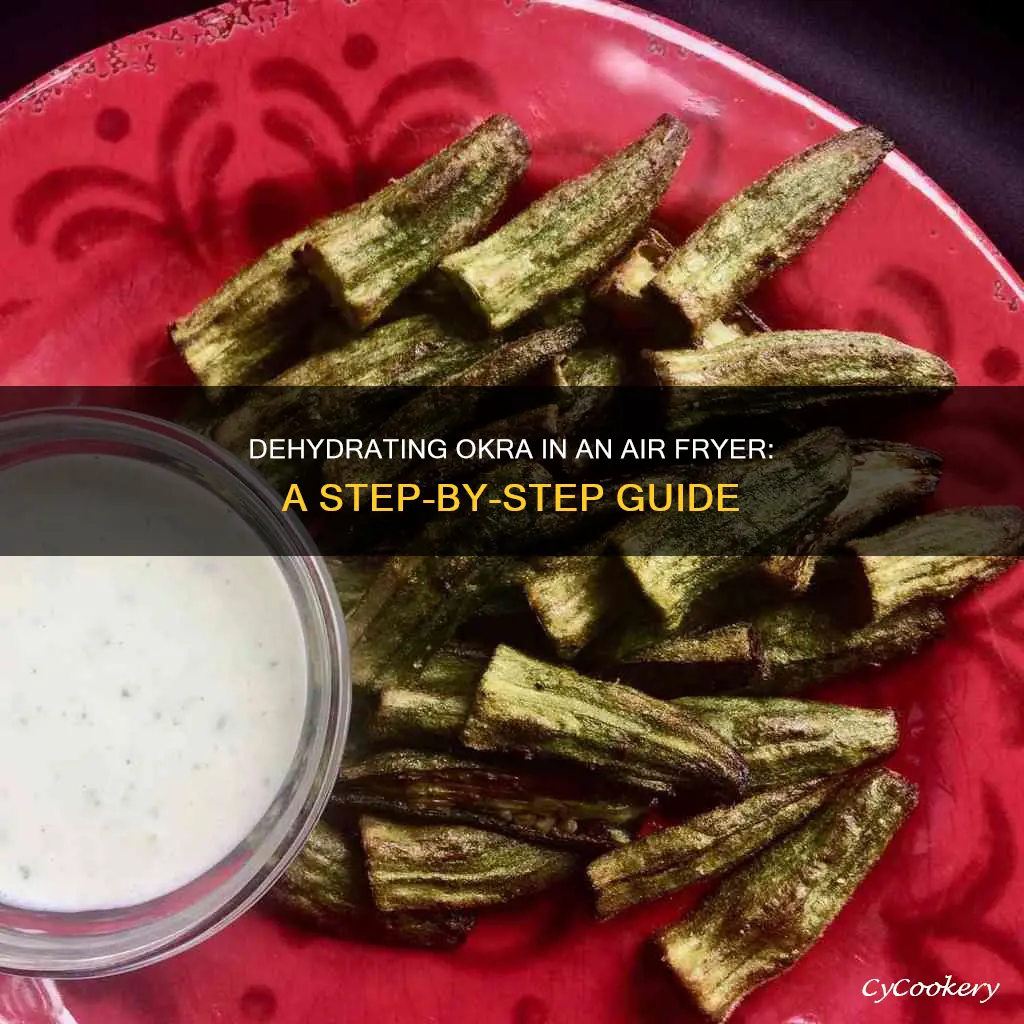 how to make dehydrated okra in air fryer