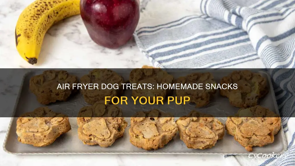 how to make dog snack with air fryer