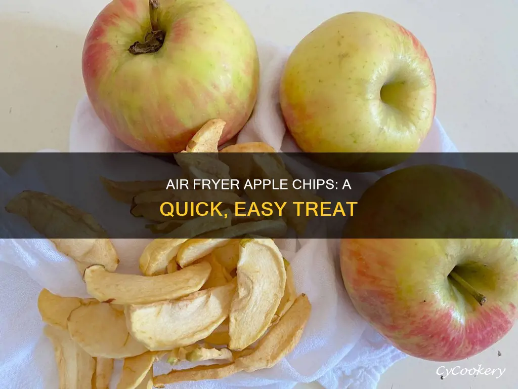 how to make dried apple slices in air fryer