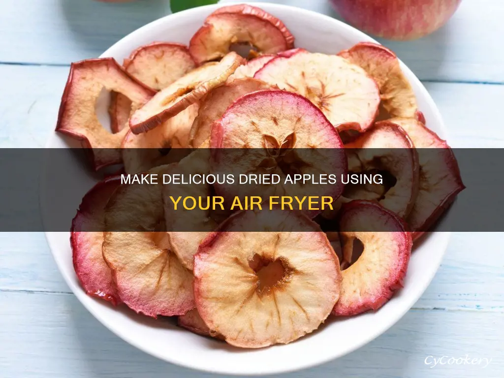 how to make dried apples in air fryer