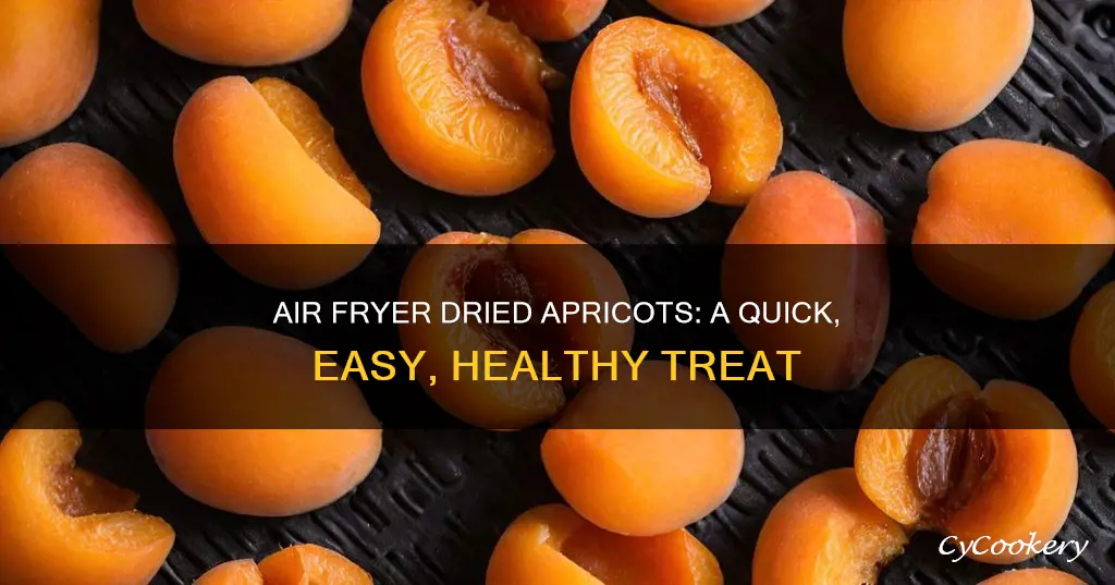 how to make dried apricots in air fryer