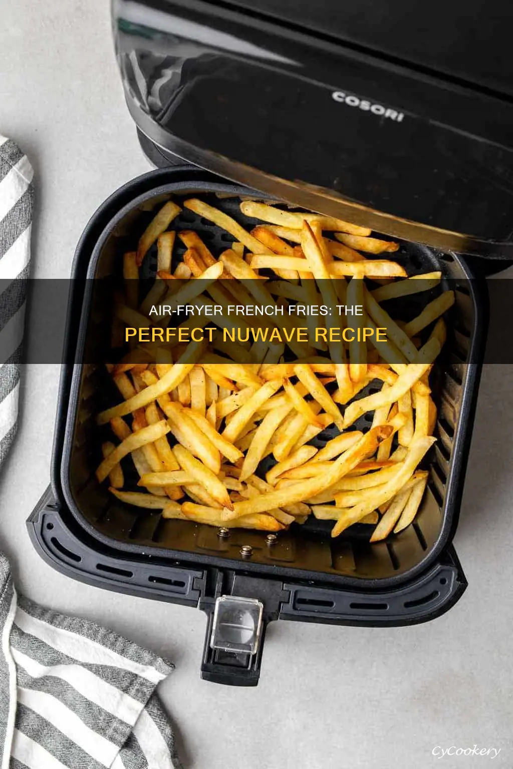 how to make french fries in a nuwave air fryer