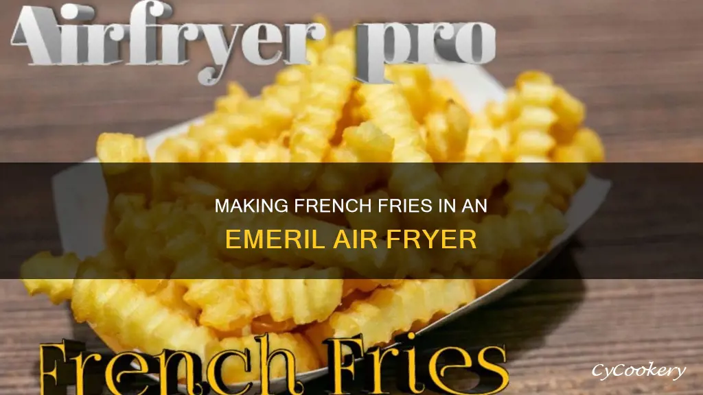 how to make french fries in an emeril air fryer