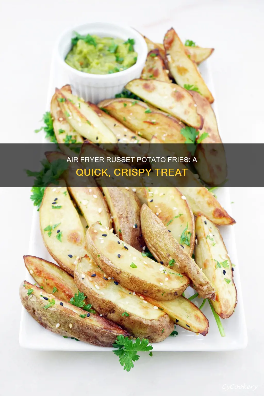 how to make french fries with russet potatoes air fryer