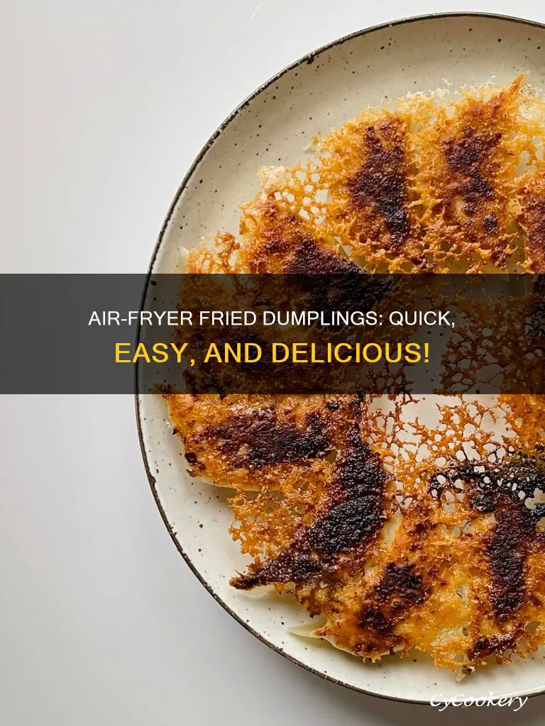 how to make fried dumplings in air fryer