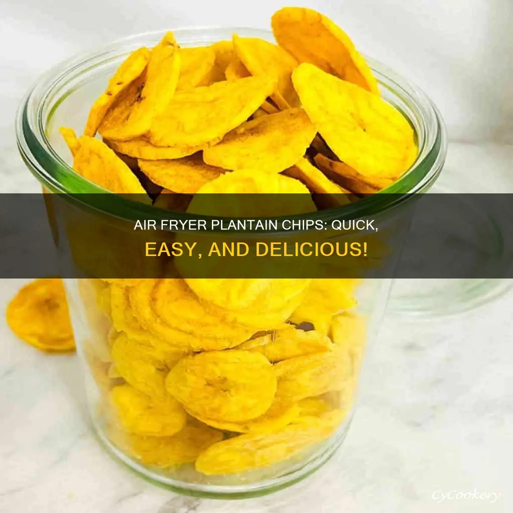 how to make fried plantain chips in air fryer