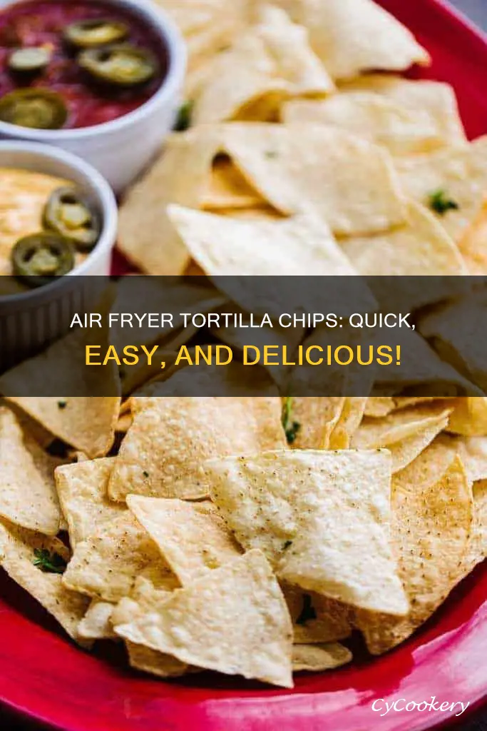 how to make fried tortilla chips in air fryer