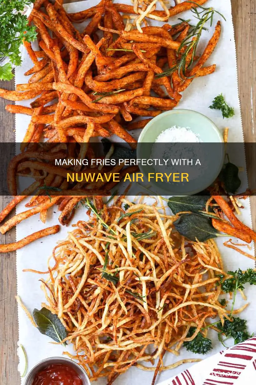 how to make fries in a nuwave air fryer