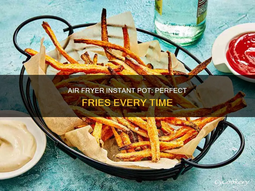 how to make fries in air fryer instant pot