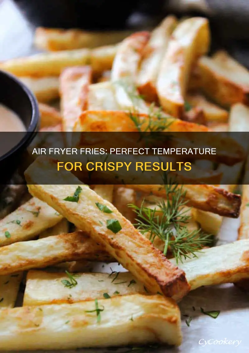 how to make fries in air fryer temperature