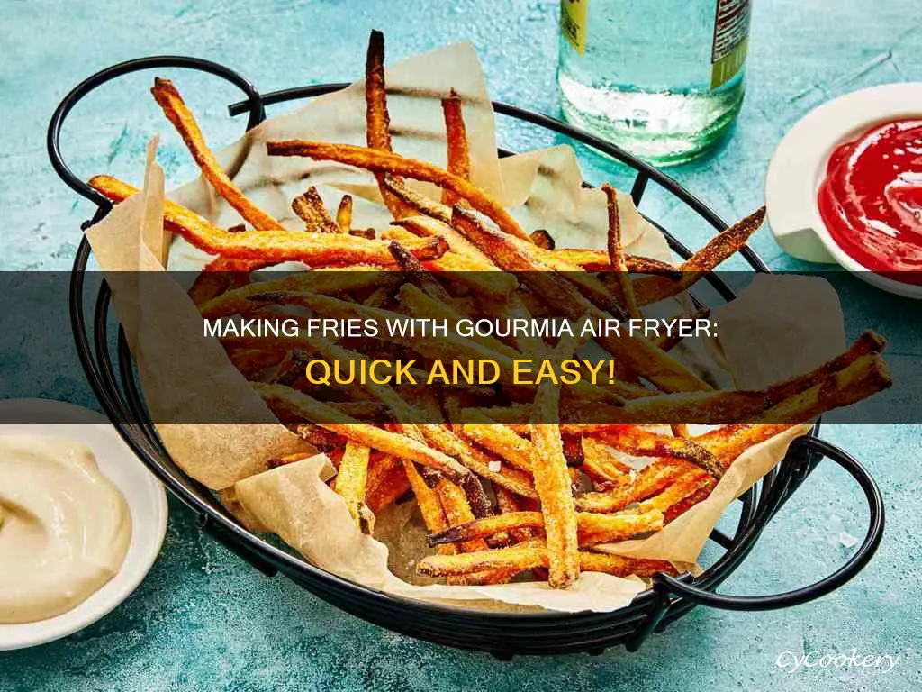 how to make fries in gourmia air fryer